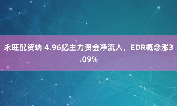 永旺配资端 4.96亿主力资金净流入，EDR概念涨3.09%